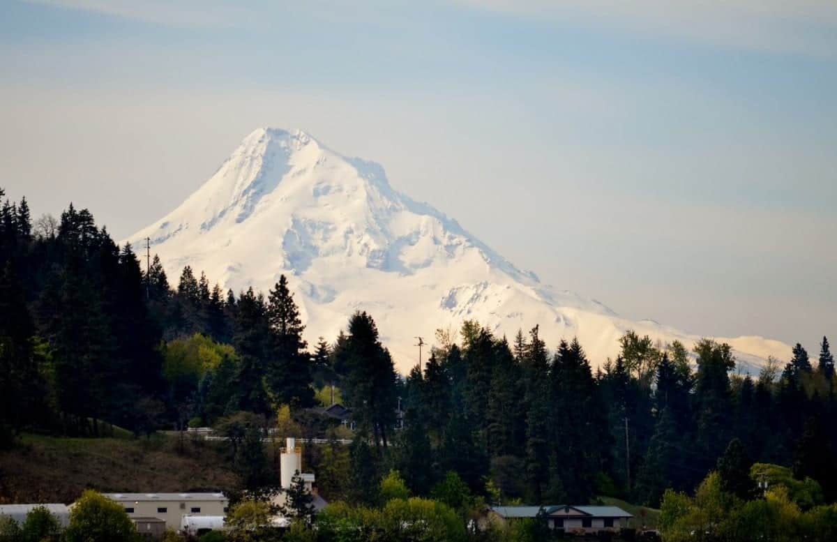 Lower Prices for Queen of the West Cruises on Columbia River