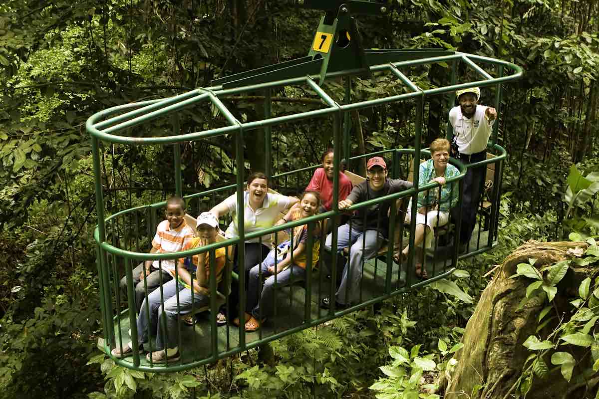 St Lucia Aerial Rainforest tram