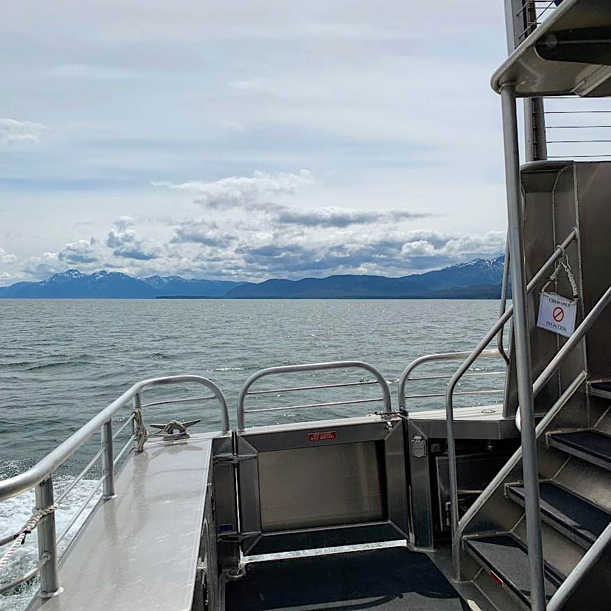 Aboard a small whale watching tour boat.