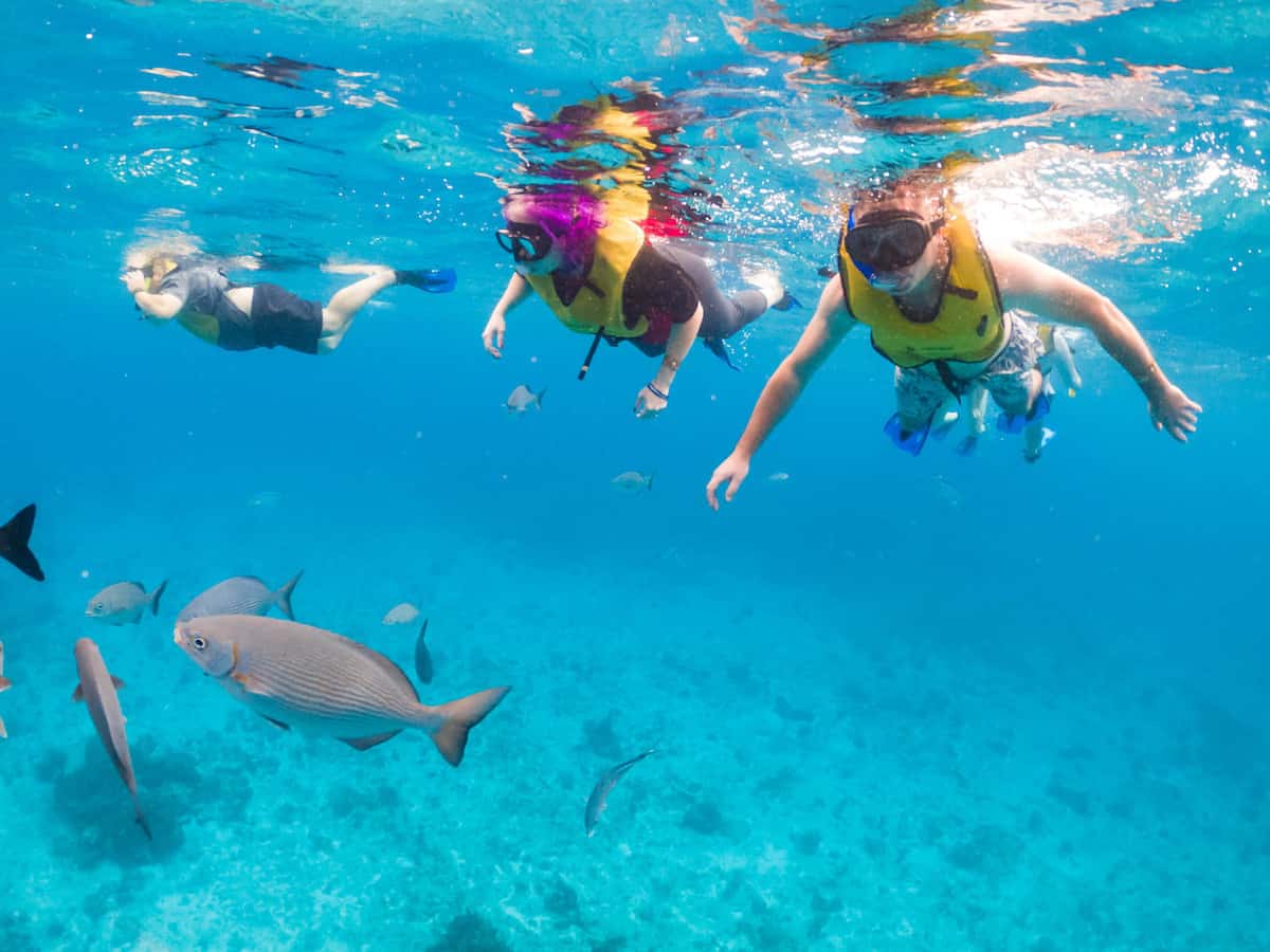 Cozumel snorkeling tour near a reef with hundreds of fish.