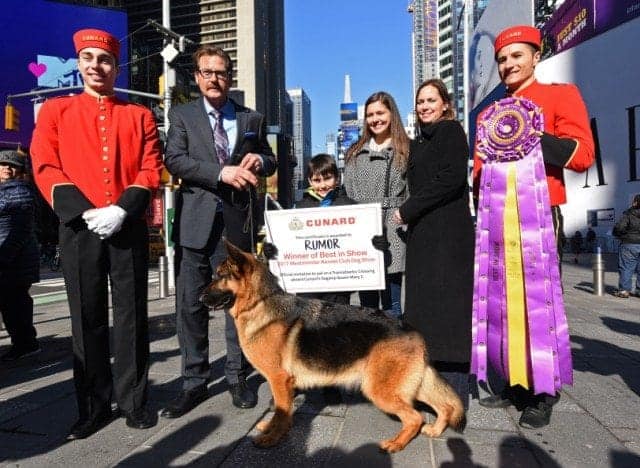 Rumor Has It. Westminster Kennel Club “Best in Show” Winner Awarded Transatlantic Crossing on Queen Mary 2