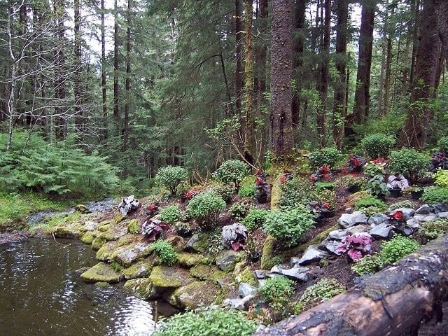 Glacier Gardens by Rob Woods