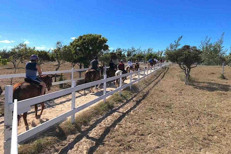 Half Moon Cay Trail Ride