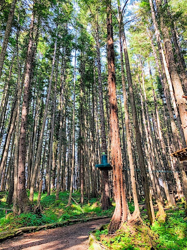 Icy Strait Point Nature Park