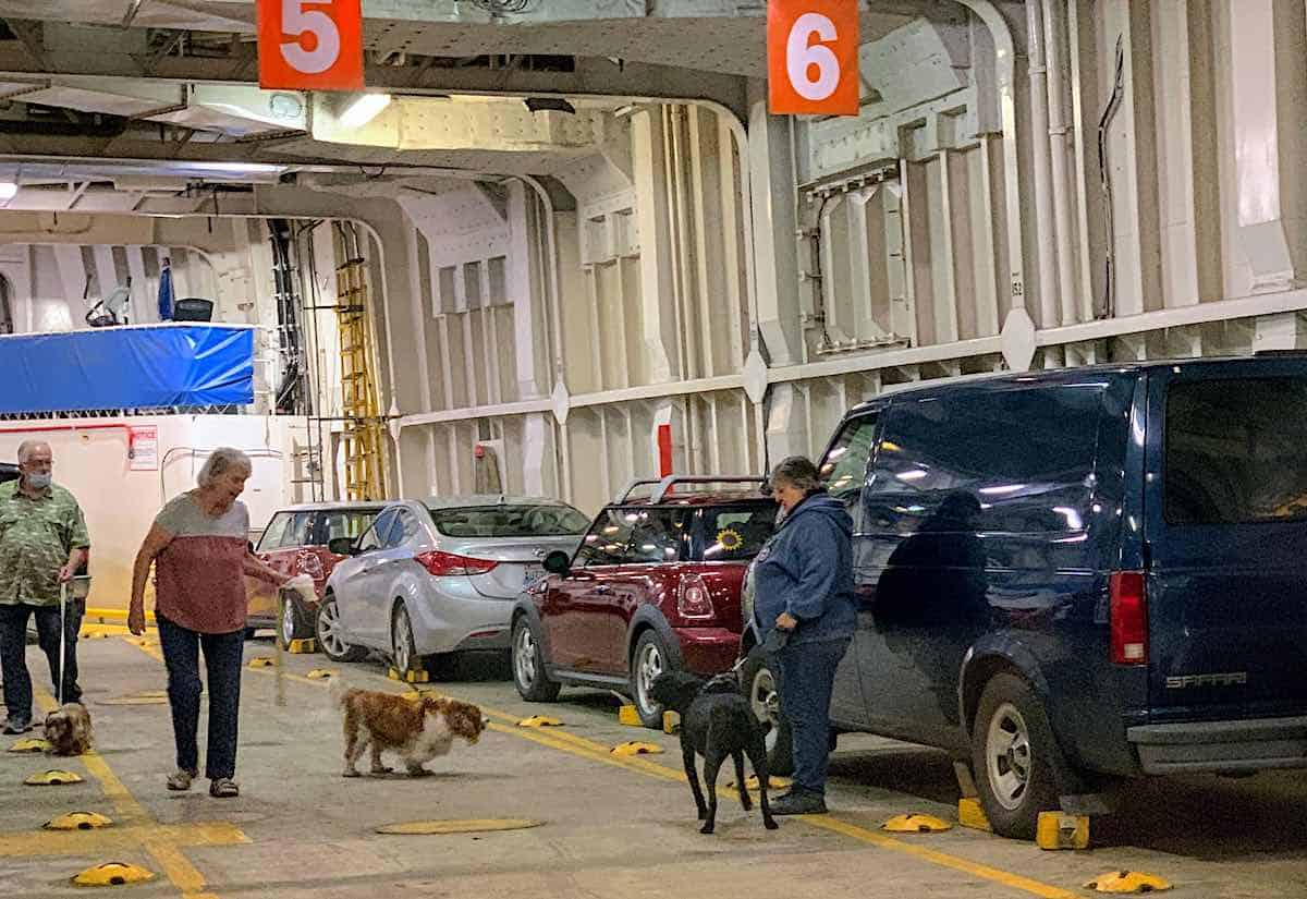 People walking their dogs aboard Matanuska.