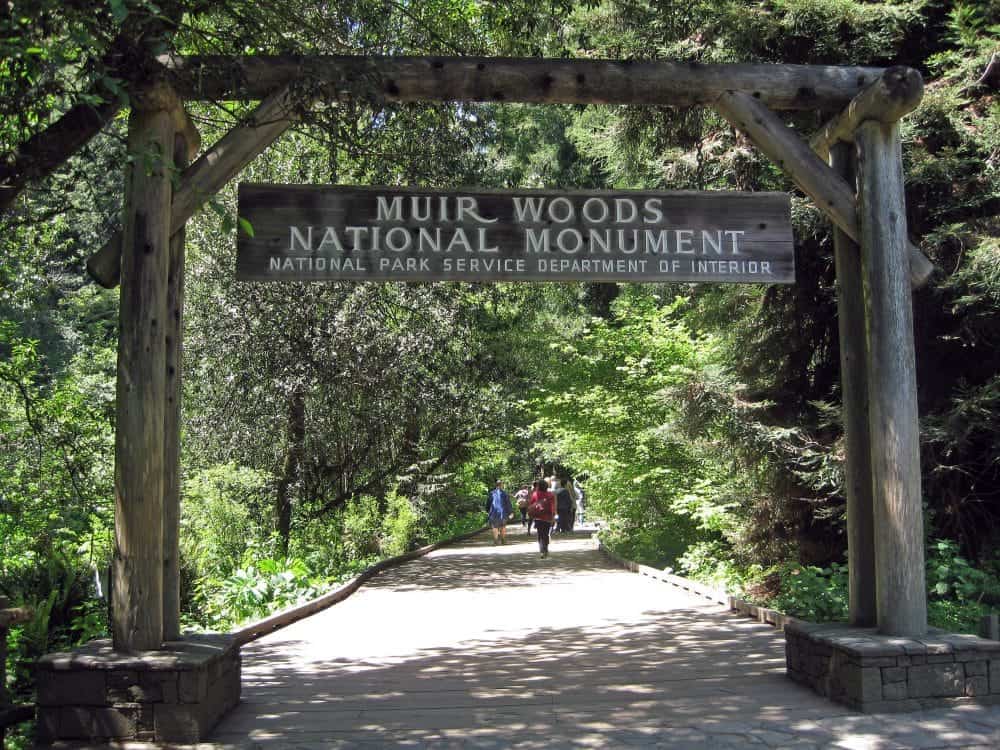 A walk through Muir Woods