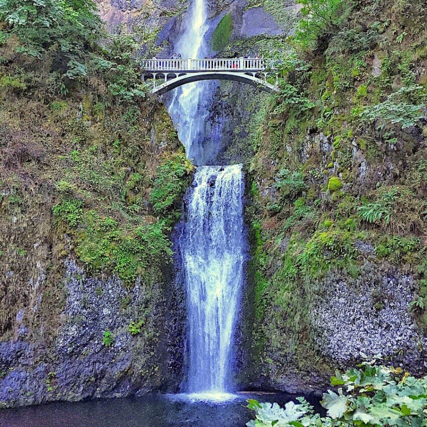 Multnomah Falls on a Columbia River Cruise