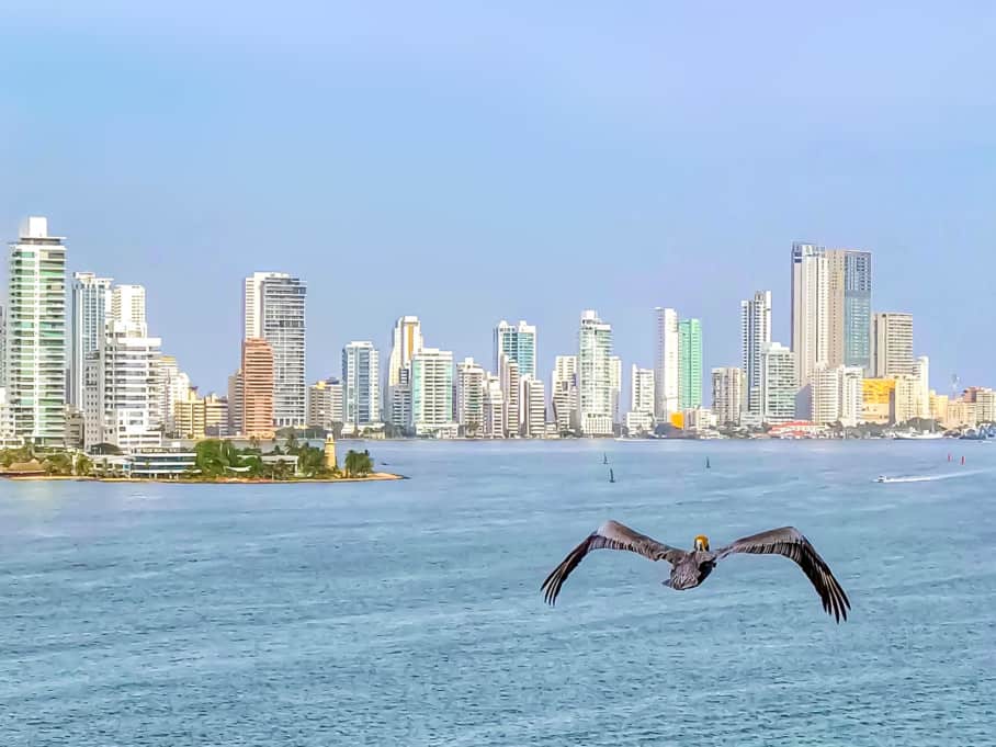 Panama City skyline on a Panama Canal cruise.