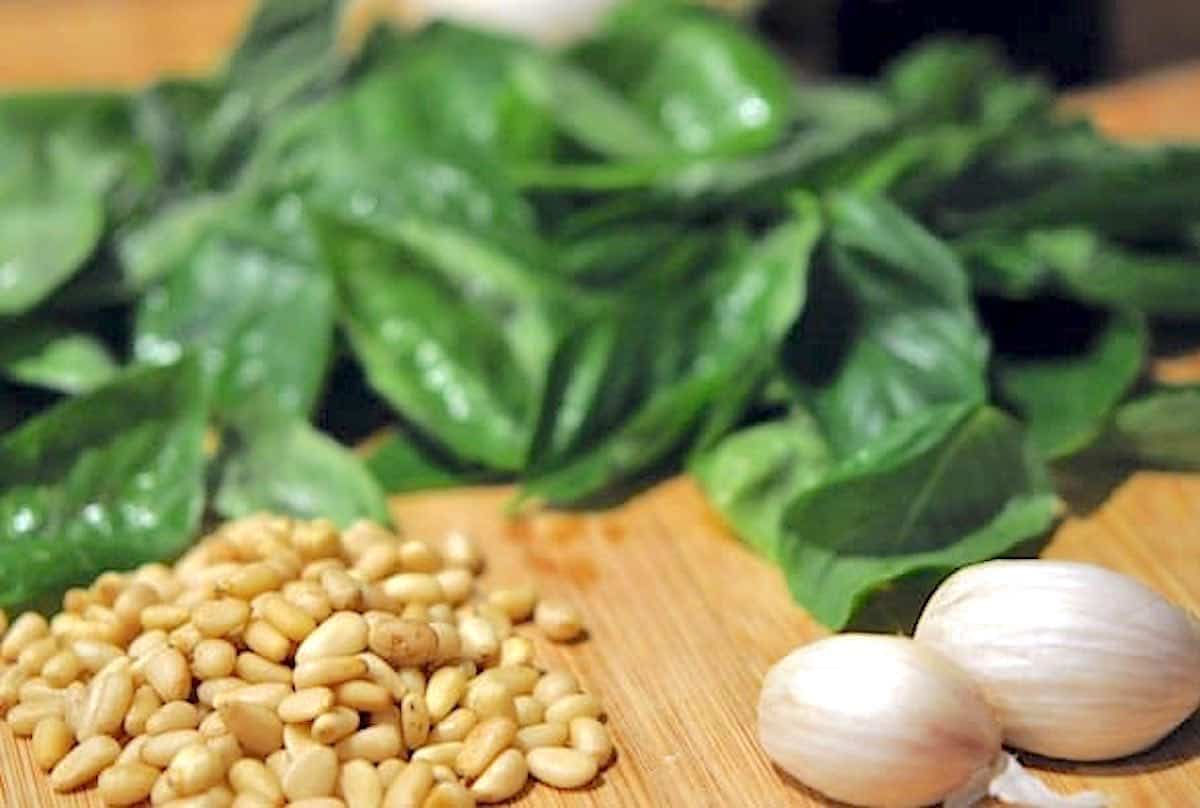 Easy Basil Pesto Recipe for Pasta, Pizza and So Much More