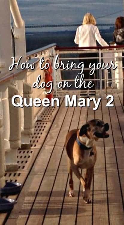 Queen Mary 2 how to travel with your dog