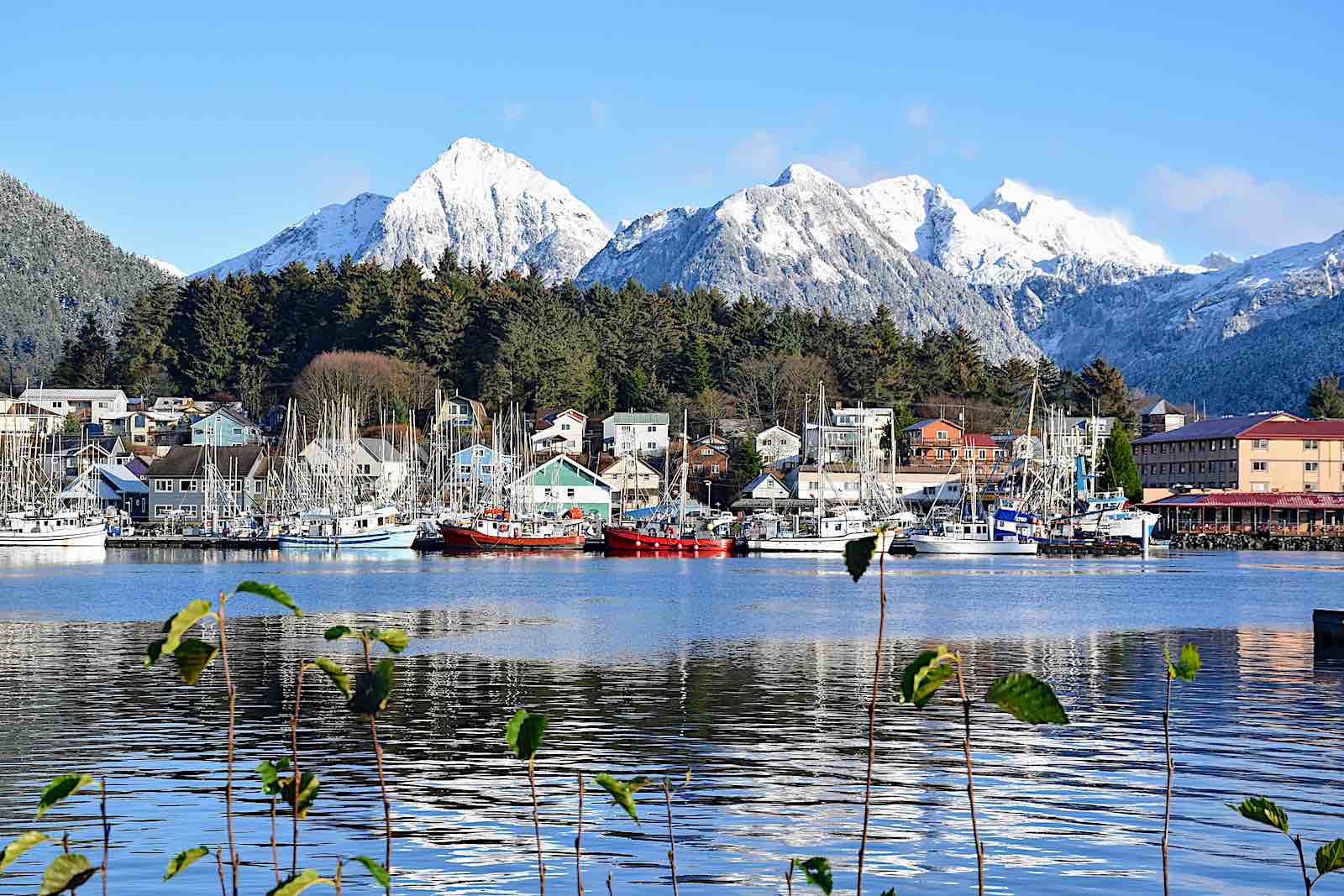 Sitka with snowcapped mountains