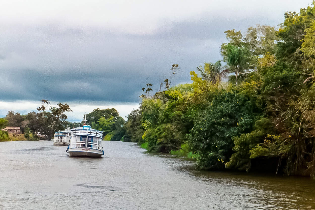 Holland America Line Set to Explore South America, Antarctica and the Amazon River in 2024-2025