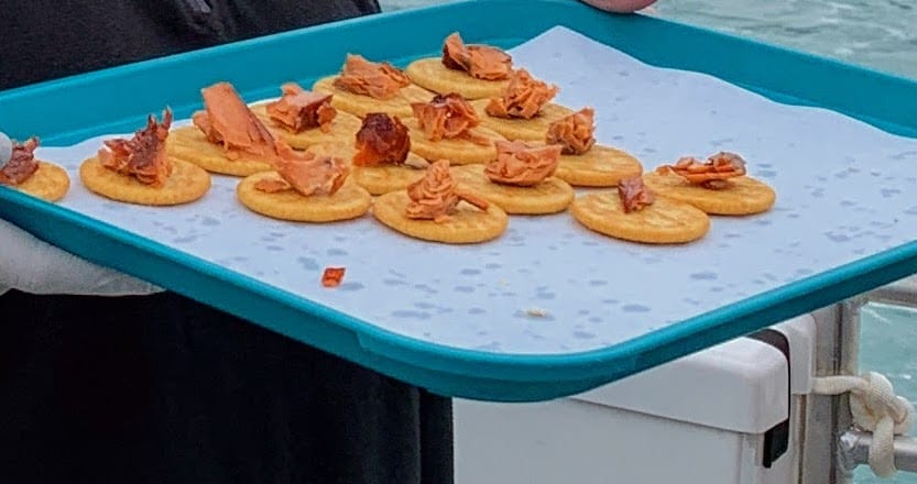 Tray of salmon bites on crackers.