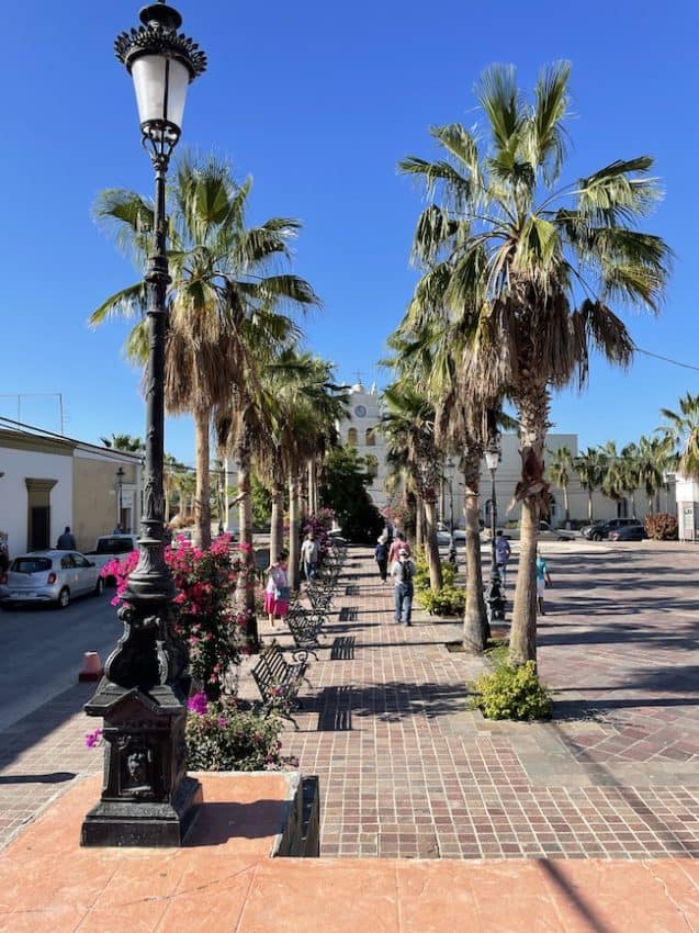 Wandering around Todos Santos 