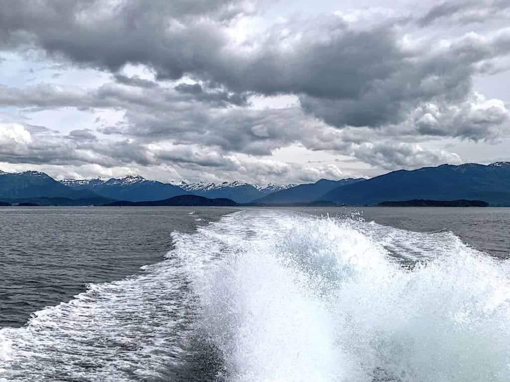 On a whale watching tour in Juneau Alaska.