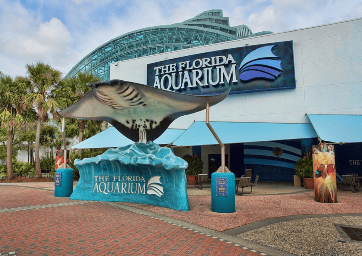 Outside of the Florida aquarium looking towards the stingray sculpture.